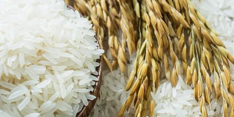 DPR: Rakyat Butuh Beras Murah, Bukan Rice Cooker