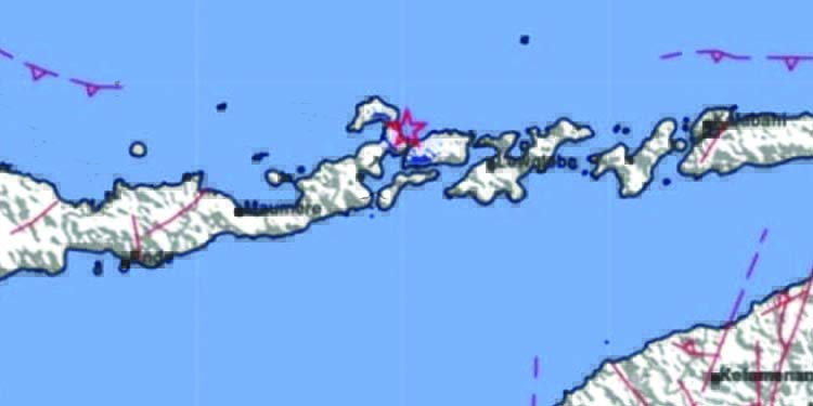 Gempa Dangkal M3.4 Guncang Larantuka, Getaran hingga Adonara dan Lembata